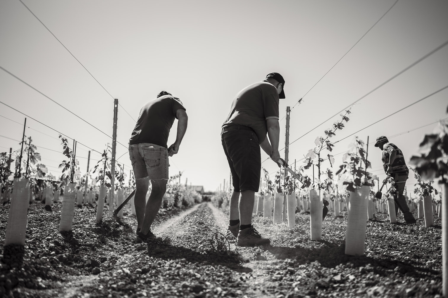 Notre terroir